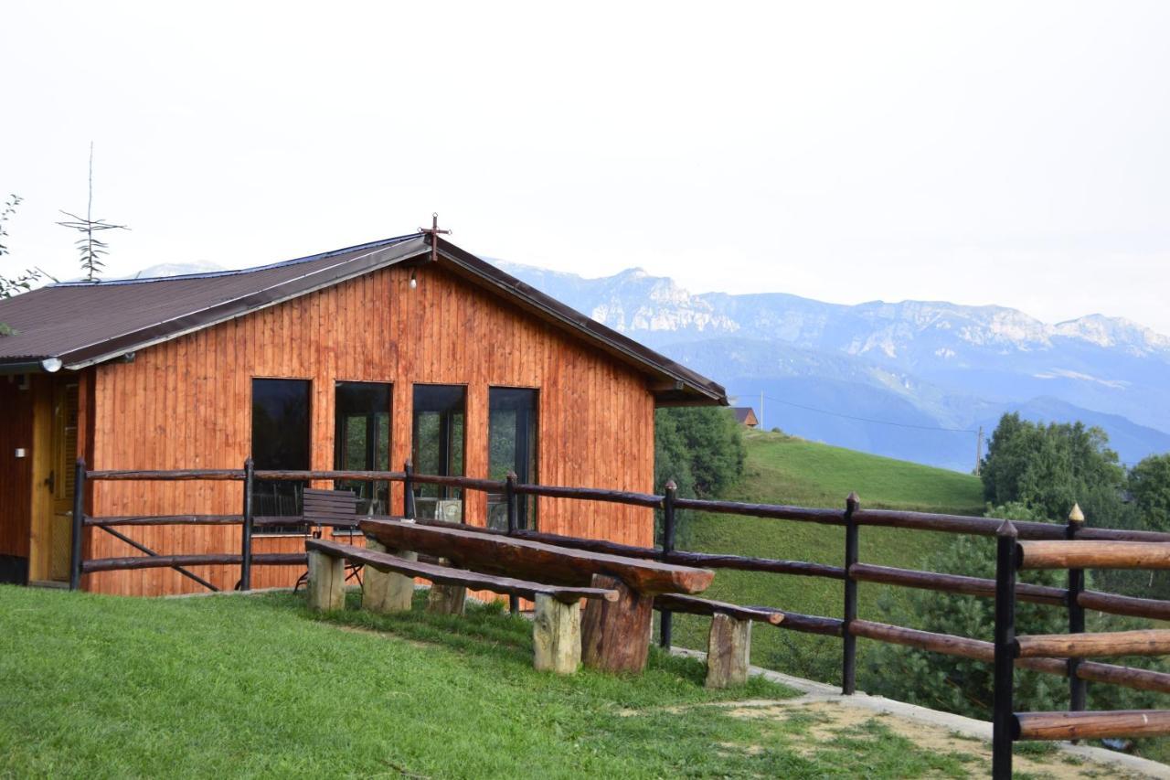 Cabana Colnic Măgura Exterior foto