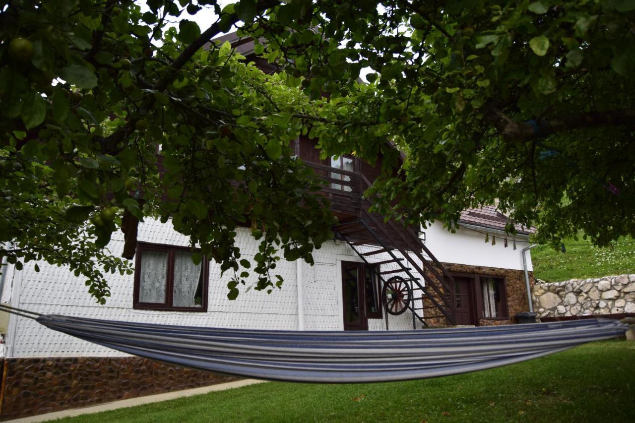 Cabana Colnic Măgura Exterior foto