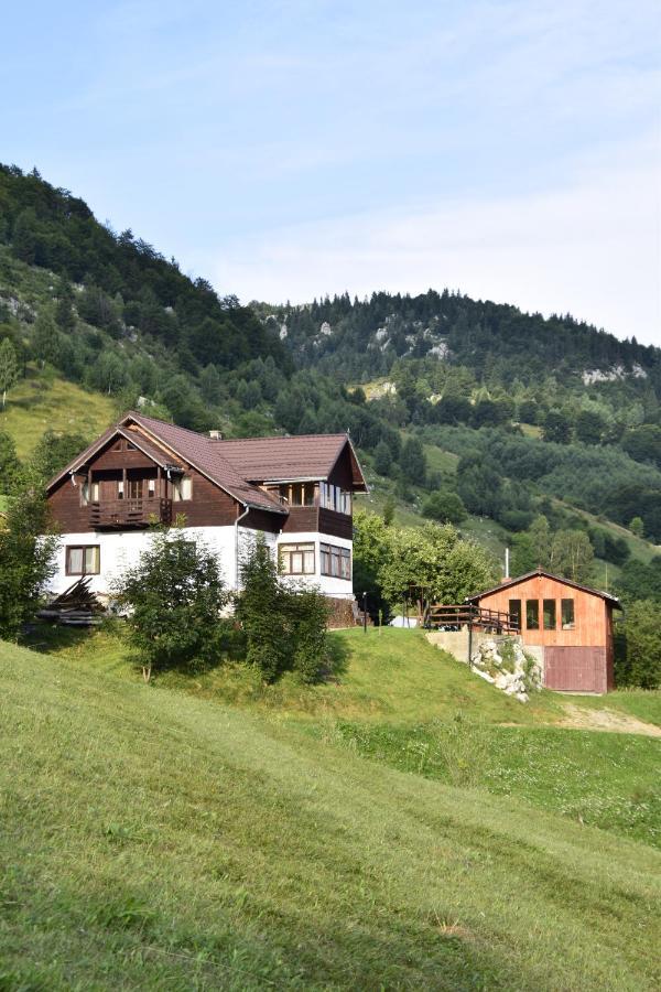 Cabana Colnic Măgura Exterior foto