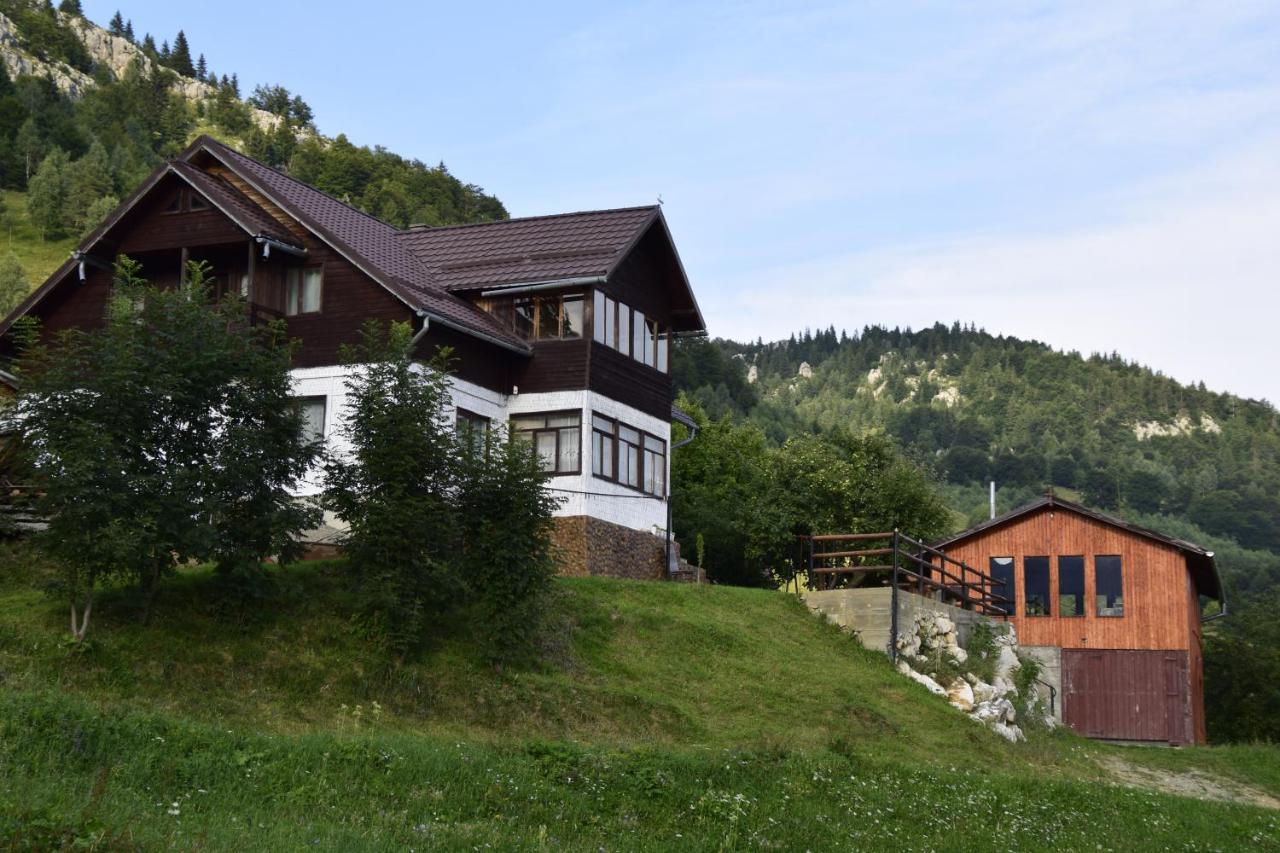 Cabana Colnic Măgura Exterior foto