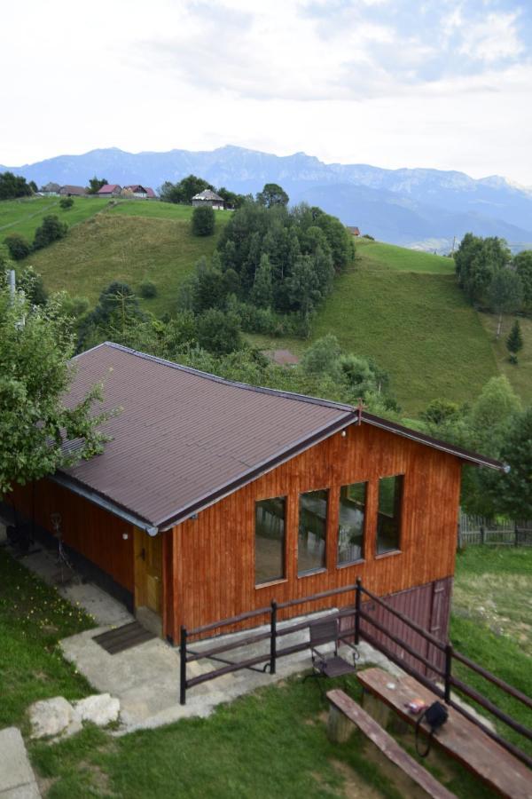 Cabana Colnic Măgura Exterior foto